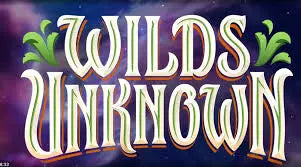 Disney Lorcana Wilds Unknown Set Champs 6/7