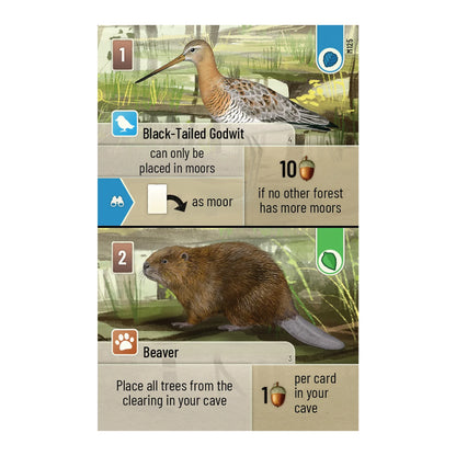 Forest Shuffle: Dartmoor Expansion