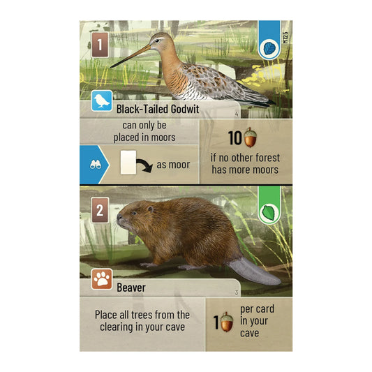 Forest Shuffle: Dartmoor Expansion