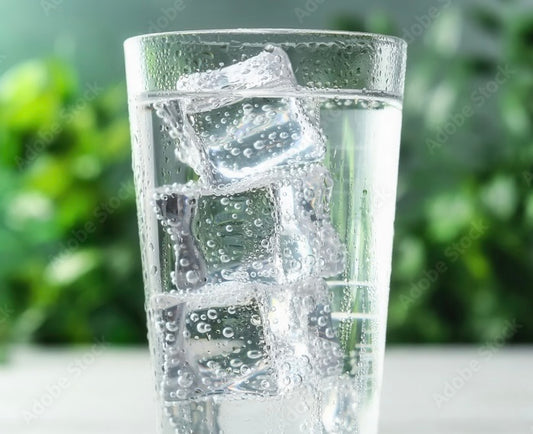 Club Soda LARGE ONLY